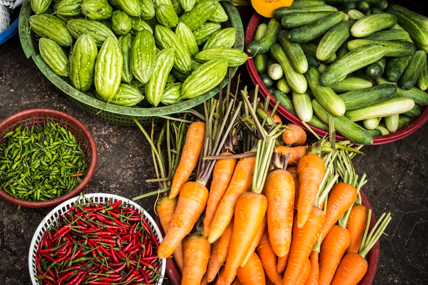 La formazione come pilastro della sicurezza alimentare
